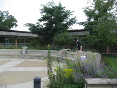 NEIU campus