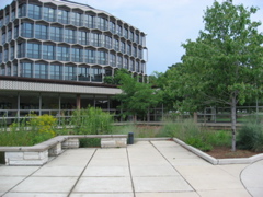 NEIU campus