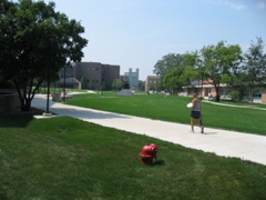 NEIU campus