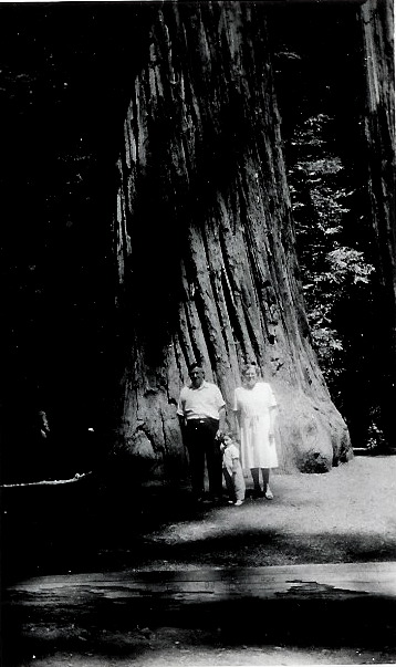 Oliver, Pappy, Redwoods, July 1946
